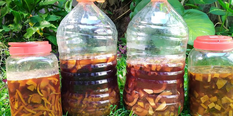 Pupuk Organik Cair Kulit Buah Jeruk