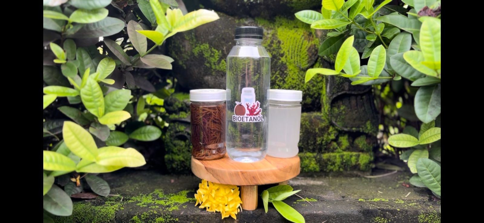 Bioetanol Pinangsemaya