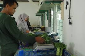 Kemitraan Pemerintah & Swasta Dorong Akses Pasar