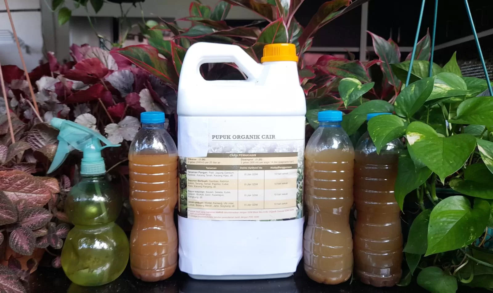 Inovasi UMKM Desa: Pengembangan POC untuk Pertanian Lokal